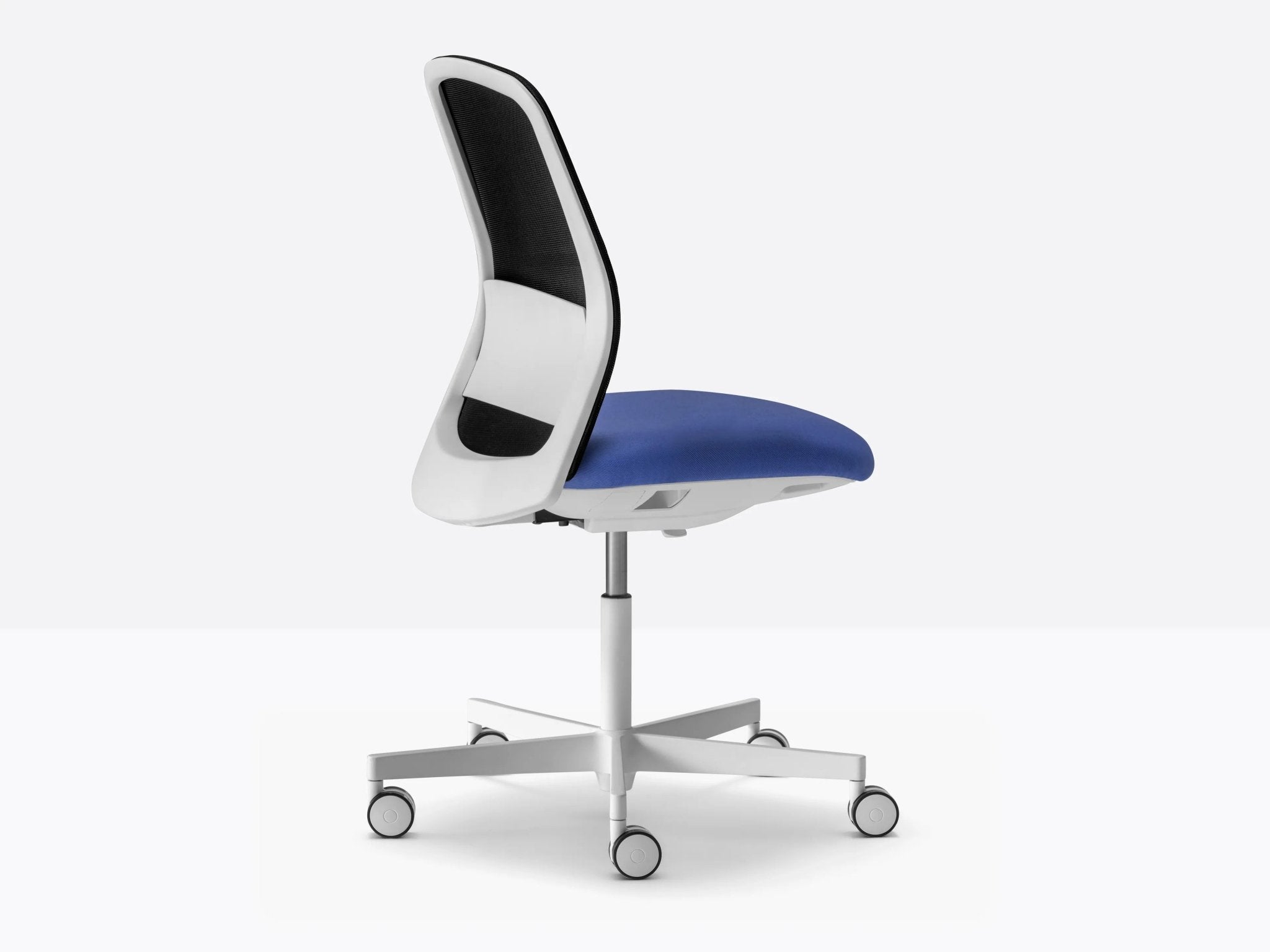 POLAR 3770 - Basic Collection Kft.