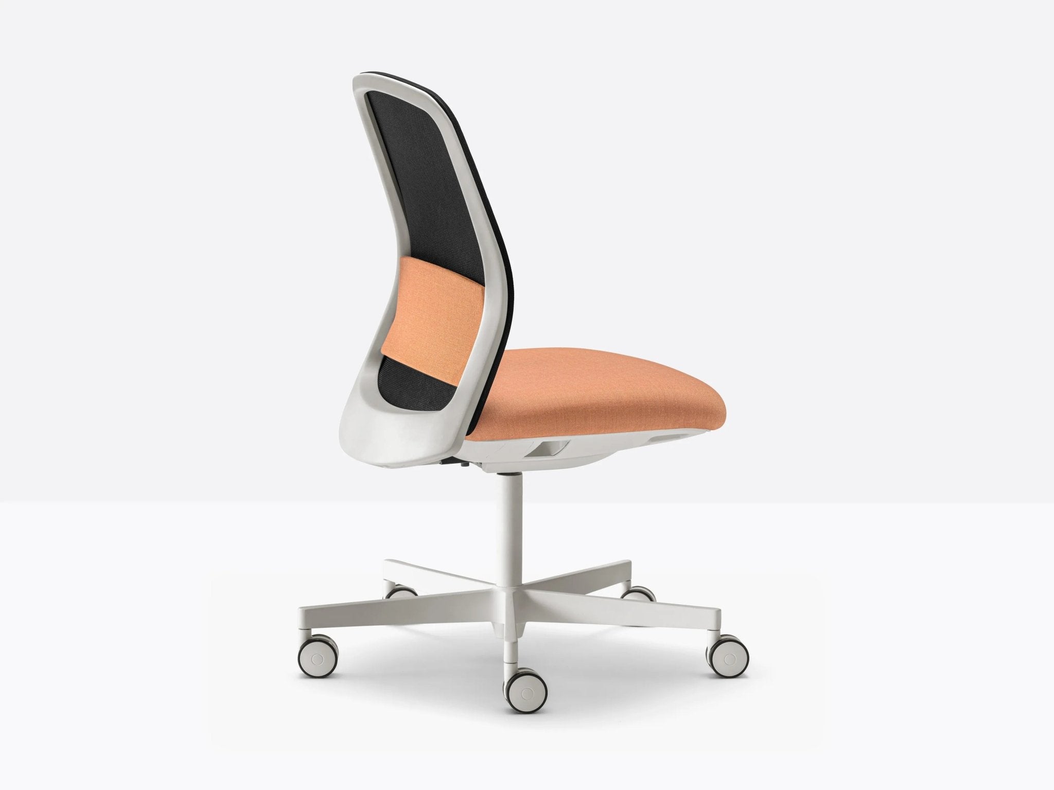 POLAR 3770 - Basic Collection Kft.