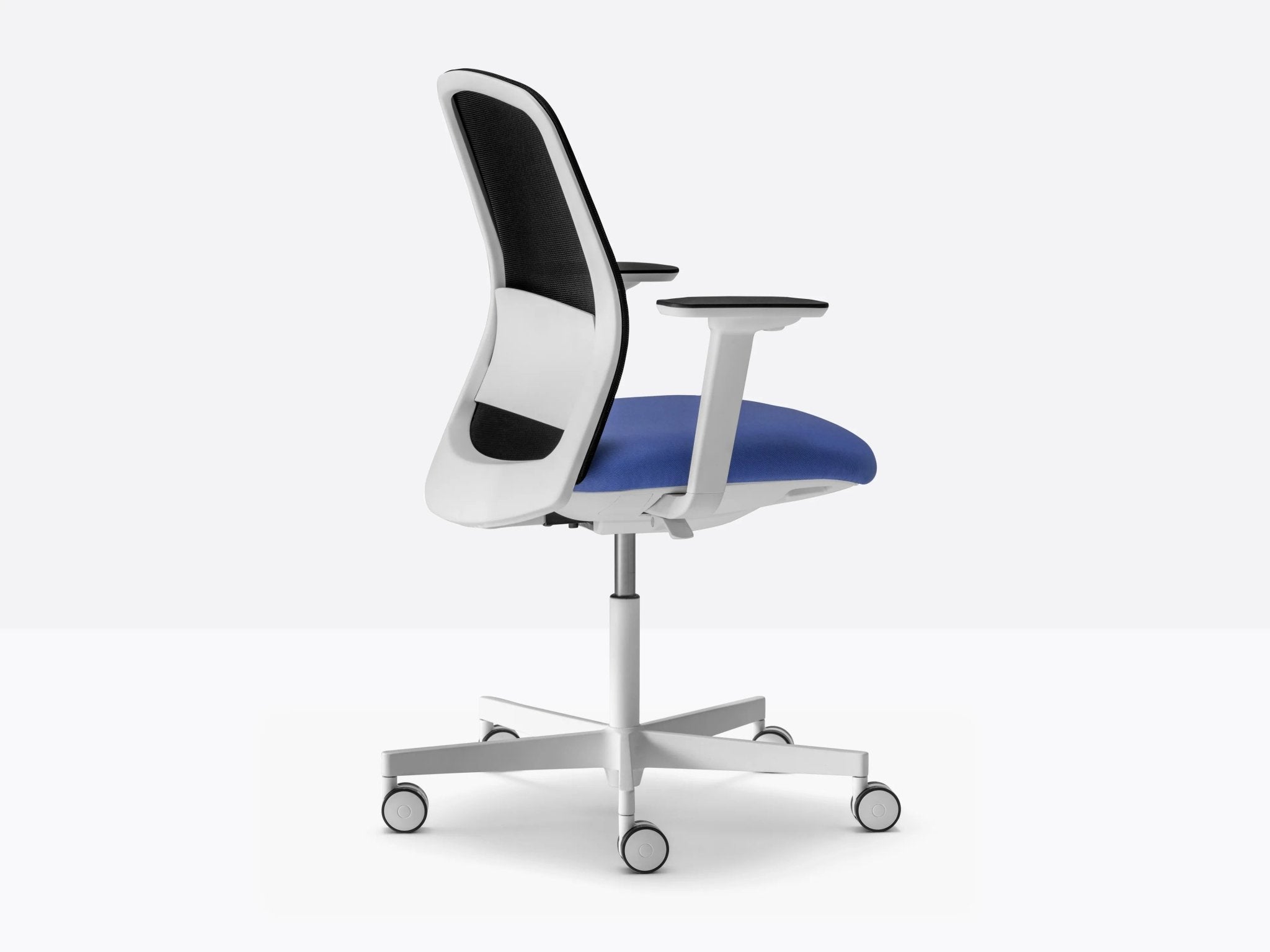 POLAR 3775 - Basic Collection Kft.
