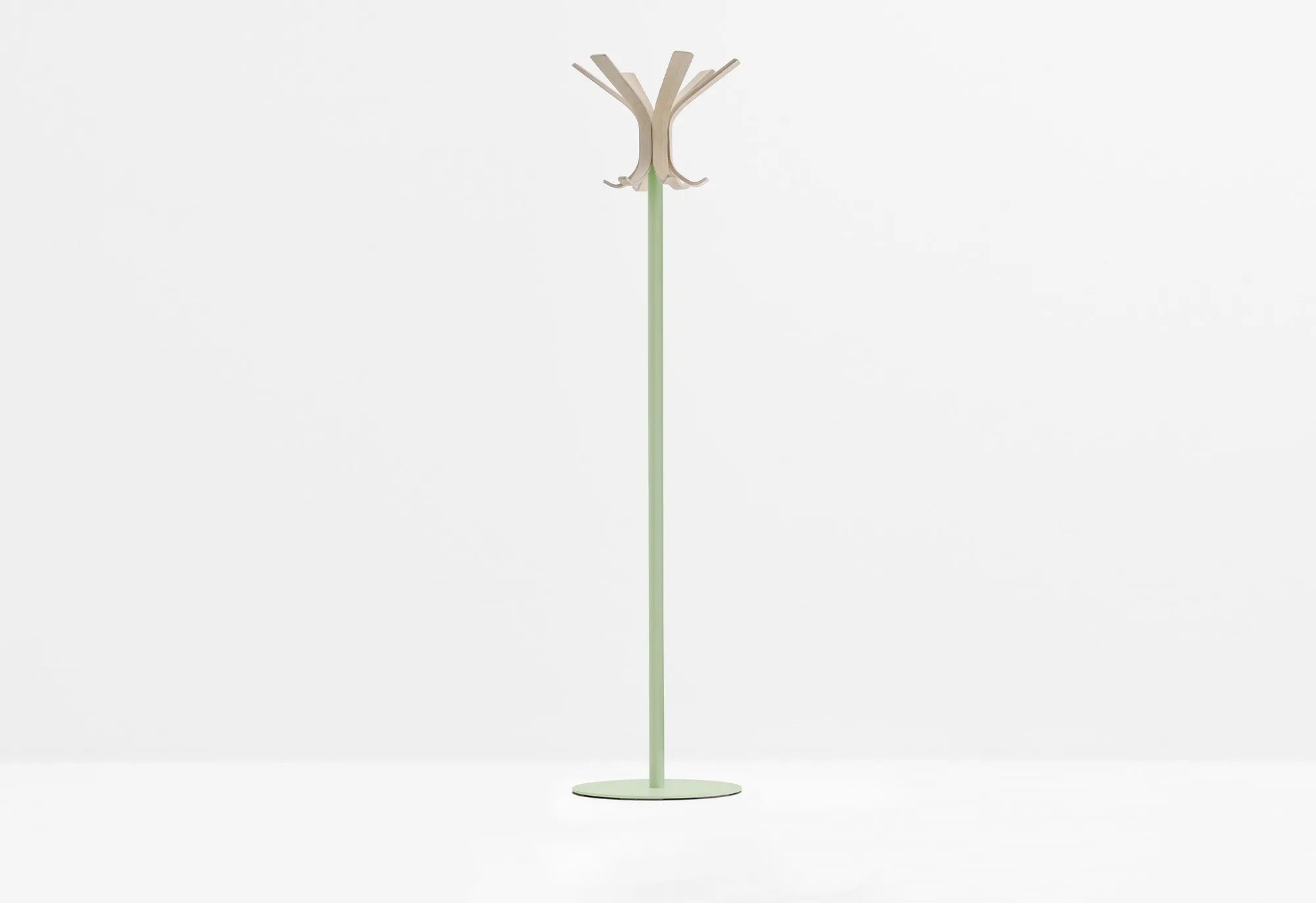 RAY 5166 - Basic Collection Kft.