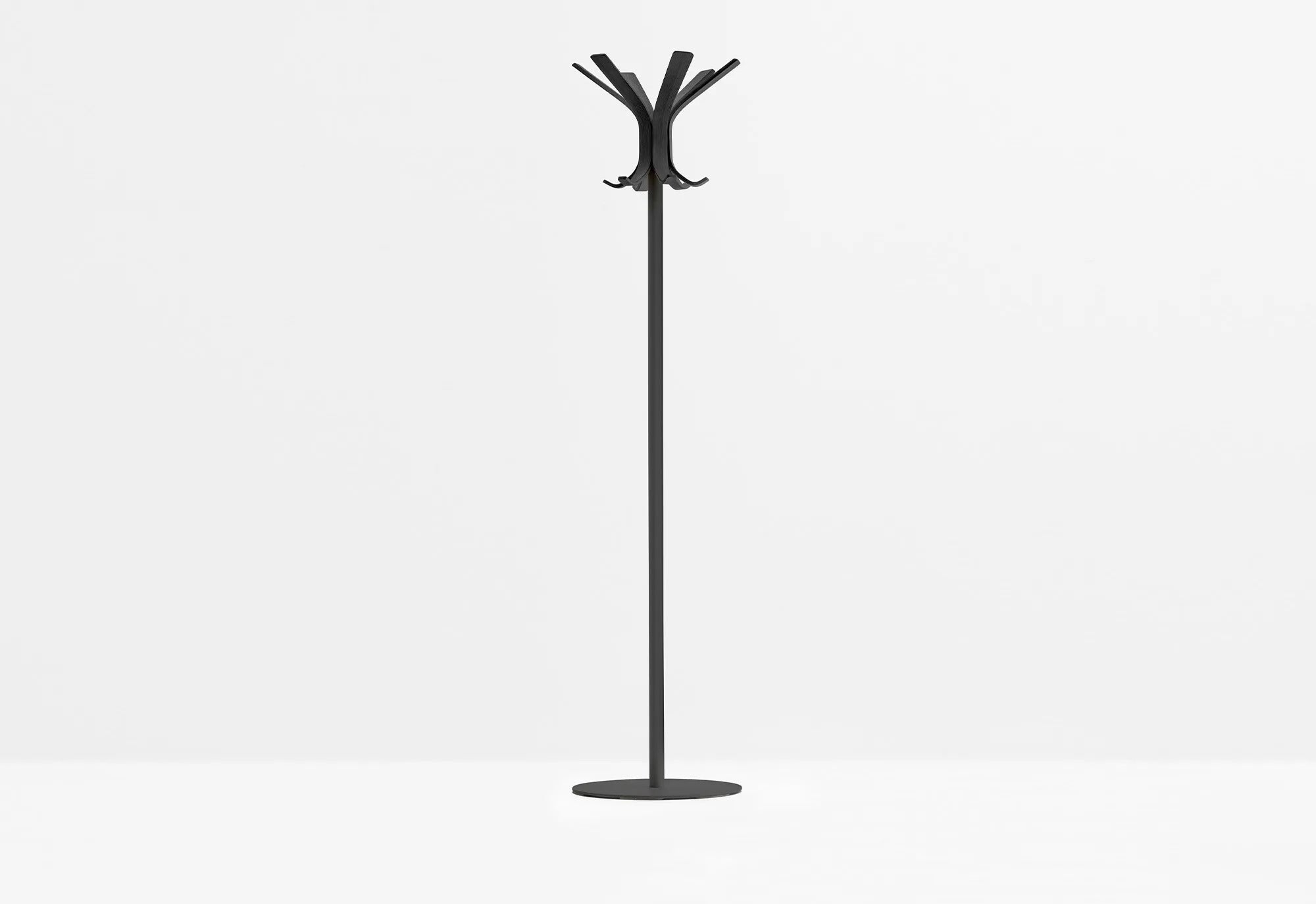 RAY 5166 - Basic Collection Kft.