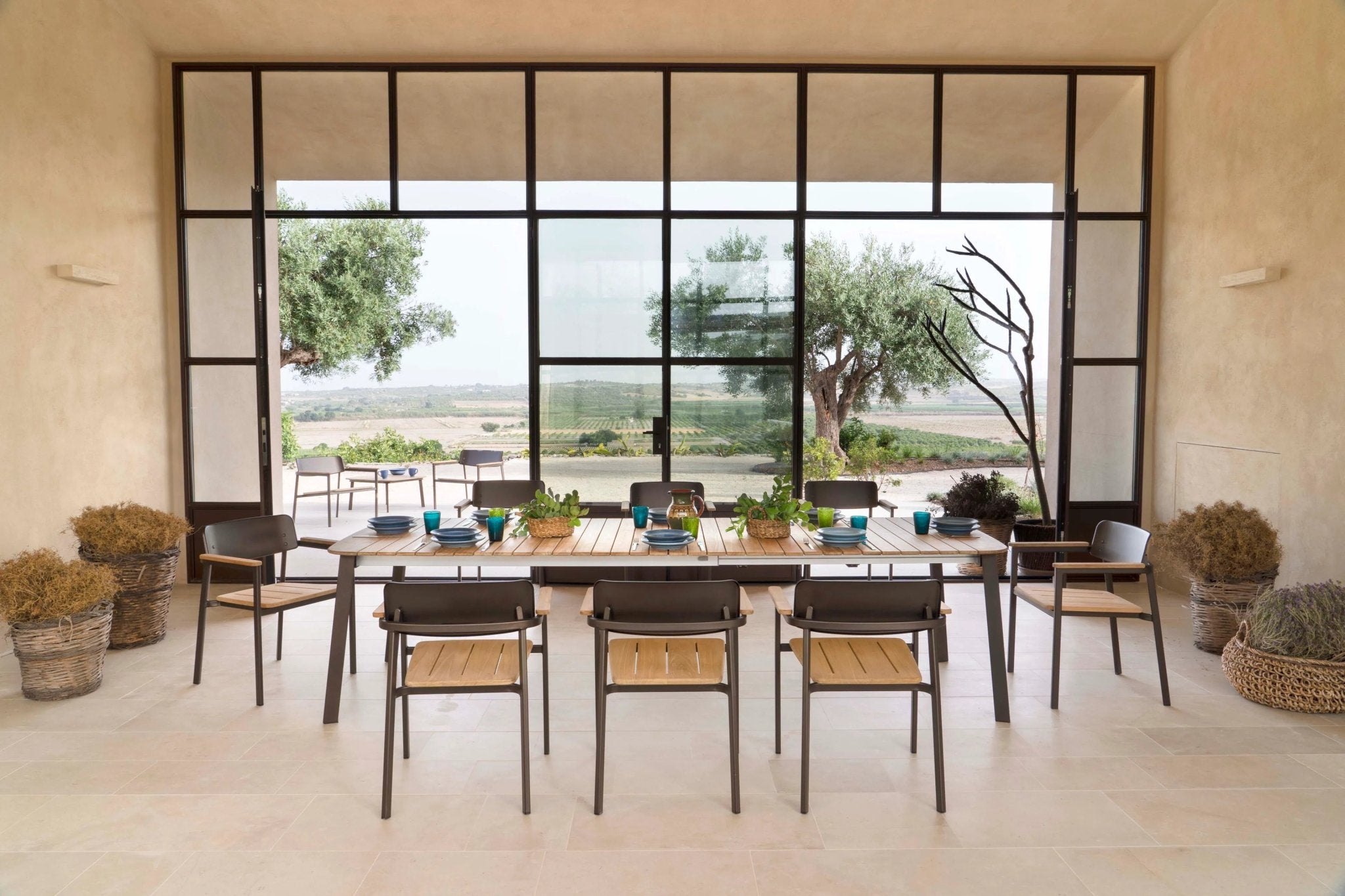 SHINE - Basic Collection Kft.