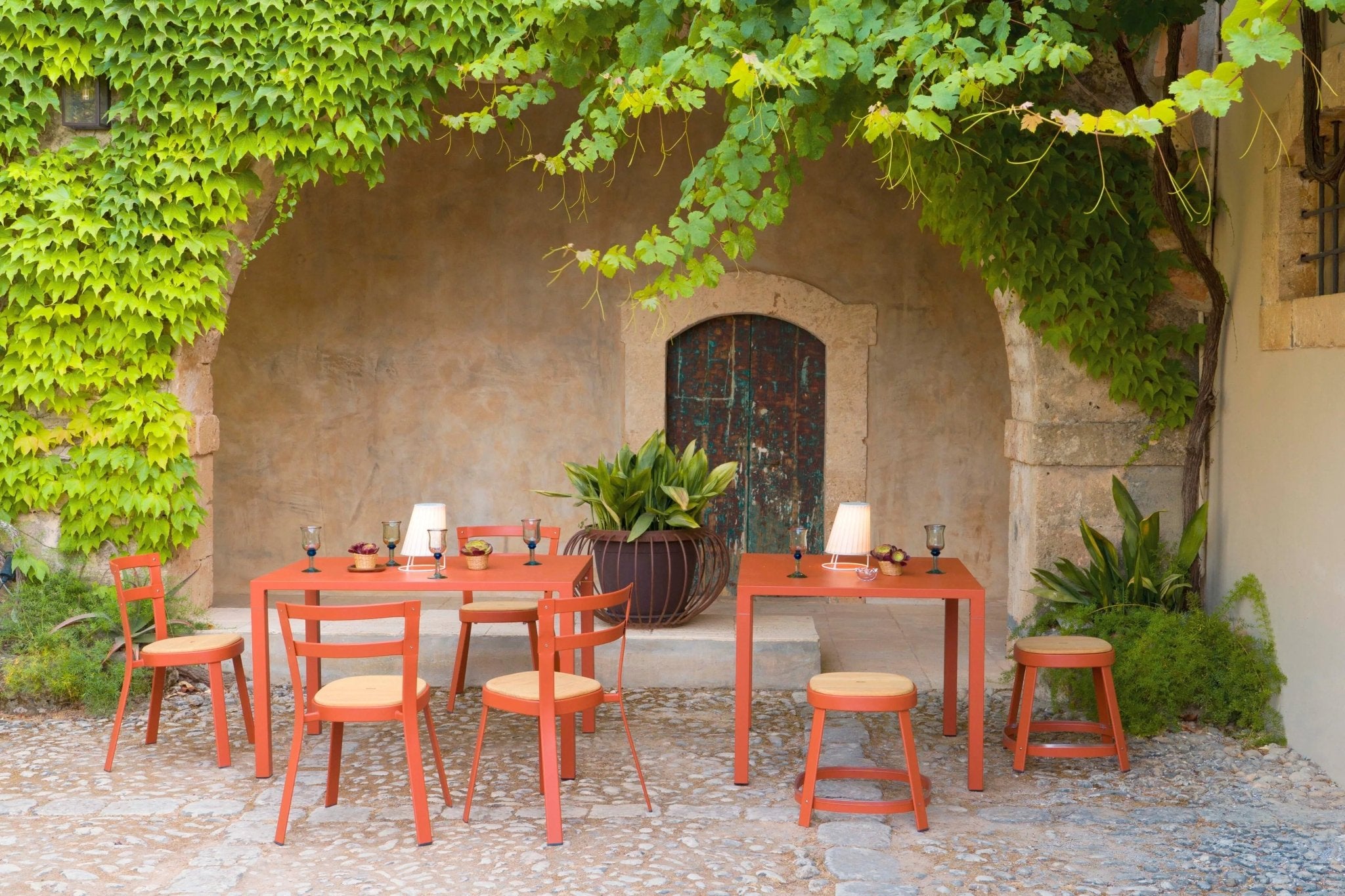 THOR - Basic Collection Kft.