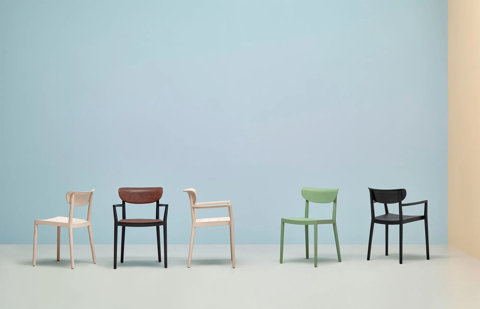 TIVOLI 2805 - Basic Collection Kft.