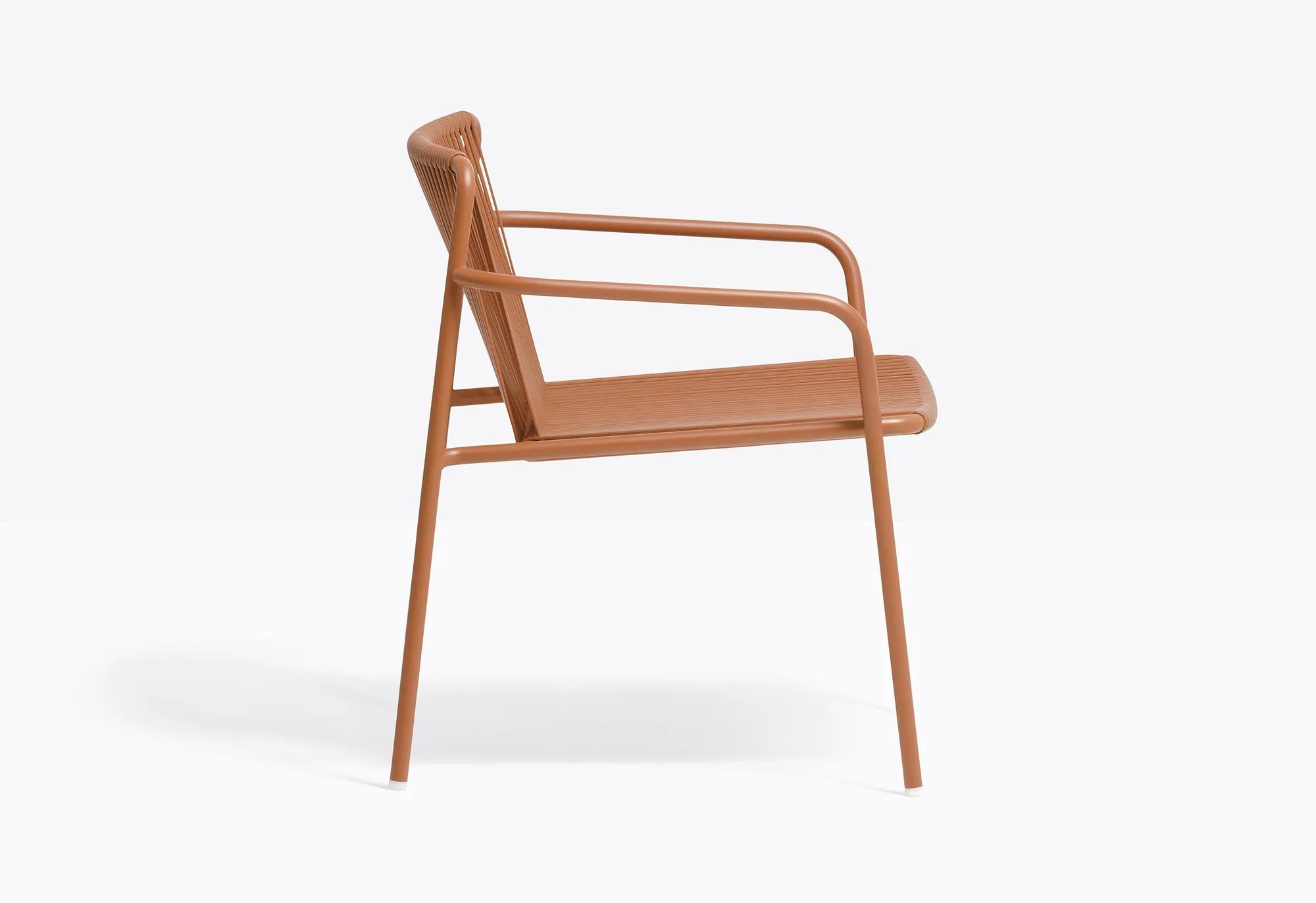 TRIBECA 3669 - Basic Collection Kft.