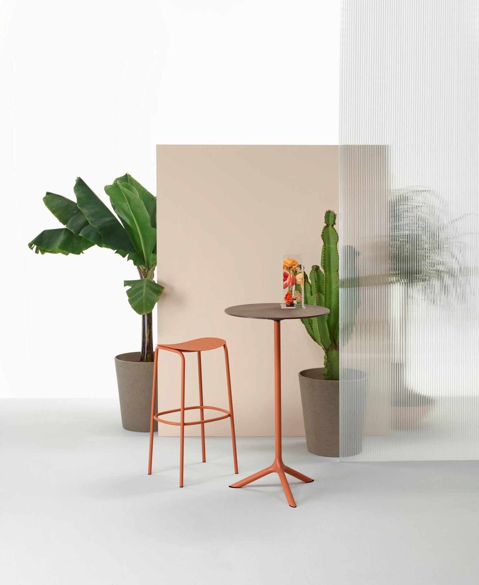 TRIPÉ - Basic Collection Kft.