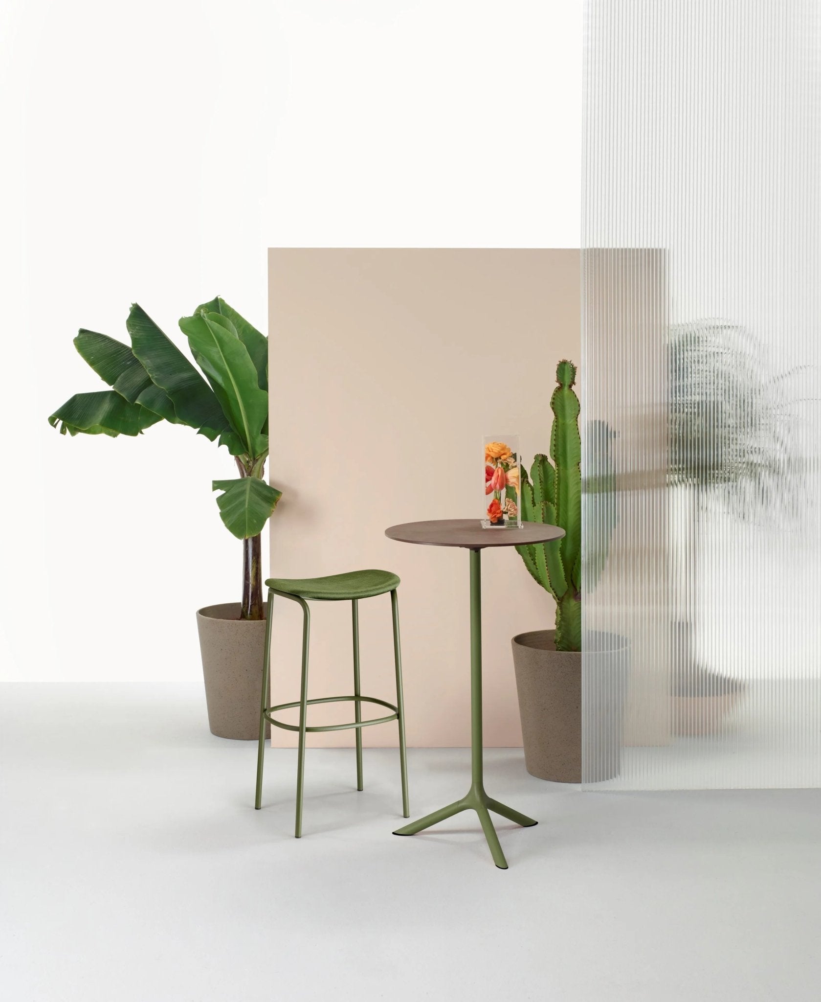 TRIPÉ - Basic Collection Kft.