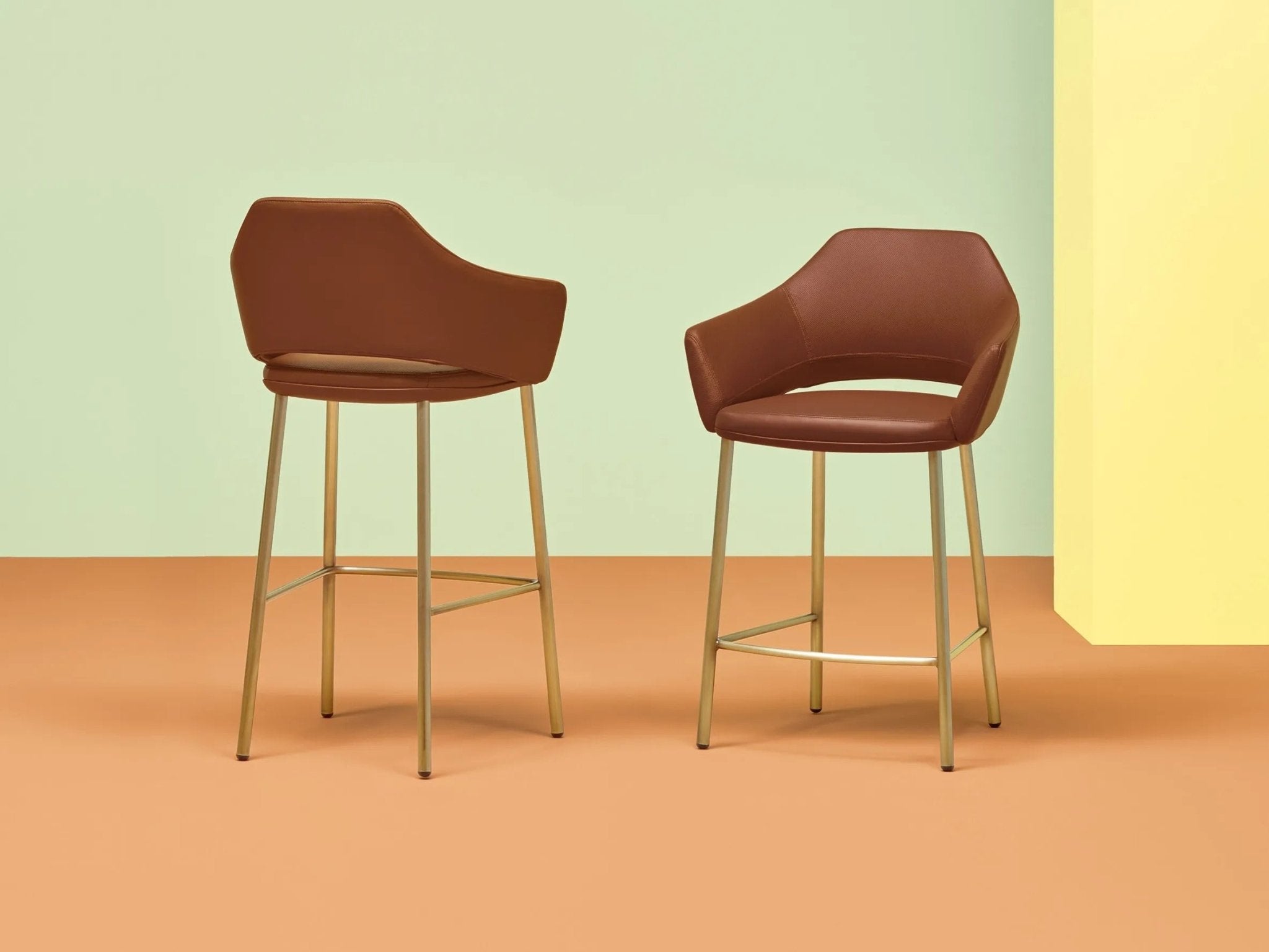 VIC 648 - Basic Collection Kft.