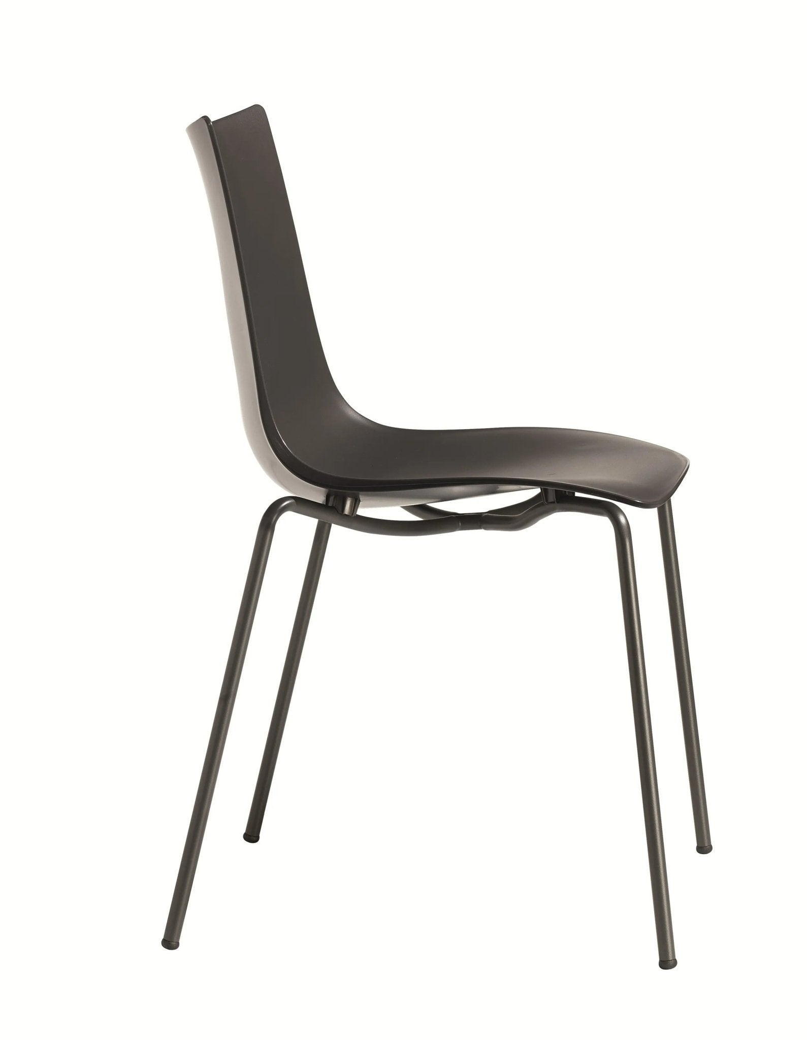 ZEBRA TECNOPOLIMERO - Basic Collection Kft.